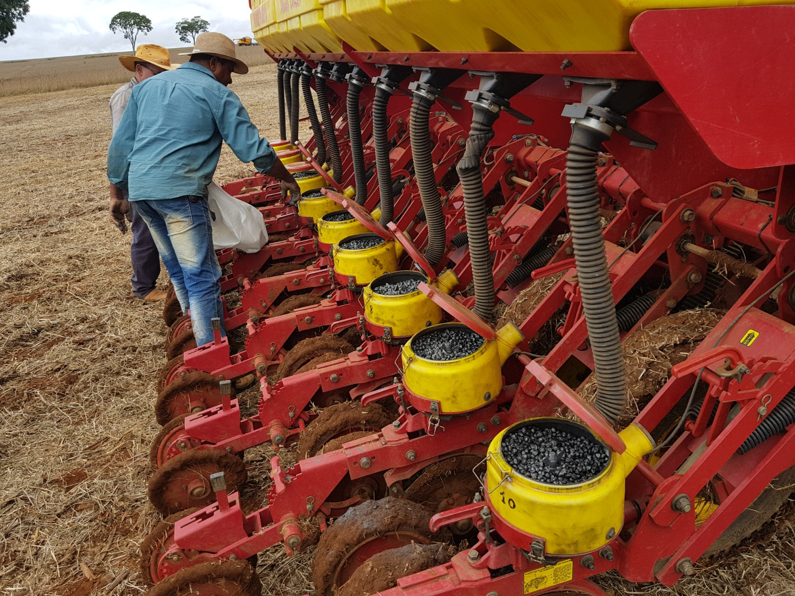 Plantio Mecanizado de Sementes